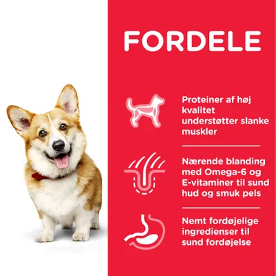 FORDELE: Proteiner af høj kvalitet understøtter slanke muskler. Nærende blanding med Omega-6 og E-vitaminer til sund hud og smuk pels. Nemt fordøjelige ingredienser til sund fordøjelse.