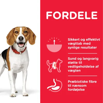 FORDELE: Sikkert og effektivt vægttab med synlige resultater. Sund og langvarig støtte til vedligeholdelse af vægten. Præbiotiske fibre til nænsom fordøjelse.