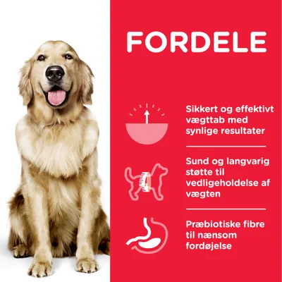 FORDELE: Sikkert og effektivt vægttab med synlige resultater. Sund og langvarig støtte til vedligeholdelse af vægten. Præbiotiske fibre til nænsom fordøjelse.