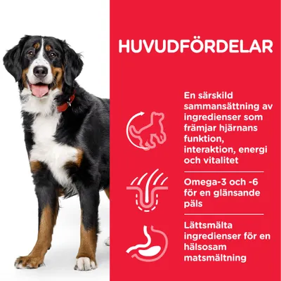 HUVUDFÖRDELAR: En särskild sammansättning av ingredienser som främjar hjärnans funktion, interaktion, energi och vitalitet. Omega-3 och -6 för en glänsande päls. Lättsmälta ingredienser för matsmältning.