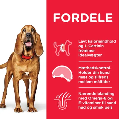 FORDELE: Lavt kalorieindhold og L-Carnitin fremmer idealvægten. Mæthedskontrol. Holder din hund mæt og tilfreds mellem måltider. Nærende blanding med Omega-6 og E-vitaminer.