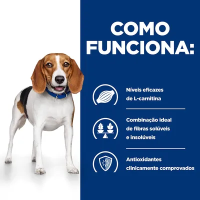 Como funciona: Níveis eficazes de L-carnitina, combinação ideal de fibras solúveis e insolúveis, antioxidantes clinicamente comprovados. Imagem de cão ao lado do texto.