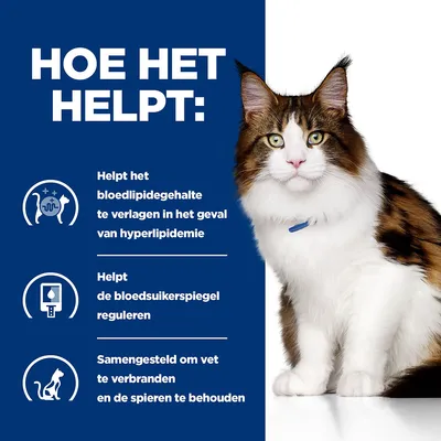 HOE HET HELPT: Helpt het bloedlipidegehalte te verlagen bij hyperlipidemie, helpt de bloedsuikerspiegel reguleren, samengesteld om vet te verbranden en spieren te behouden.