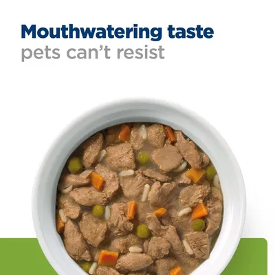 Mouthwatering taste pets can’t resist. Fehér tálban szaftos állateledel húskockákkal, répával, borsóval és rizzsel felülnézetből.