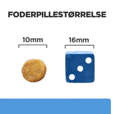Foderpillestørrelse: foderpille 10 mm ved siden af blå terning 16 mm. Sammenligning af størrelser for bedre valg af foder.
