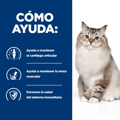 Texto: Cómo ayuda. Ayuda a mantener el cartílago articular, ayuda a mantener la masa muscular, favorece la salud del sistema inmunitario. Imagen de un gato.