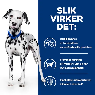 Hill's Prescription Diet u/d Urinary Care Hundefôr Original