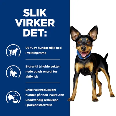 Hill's Prescription Diet Canine Metabolic Mini