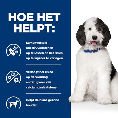 Hill's Prescription Diet Canine C/D Urinary Care hundefôr med kylling