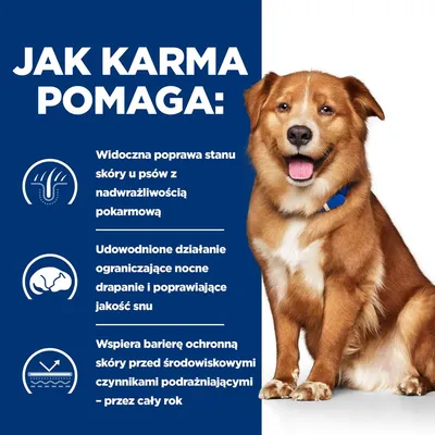 Jak karma pomaga: poprawa stanu skóry u psów z nadwrażliwością pokarmową, ograniczenie nocnego drapania, wsparcie bariery ochronnej skóry przez cały rok.