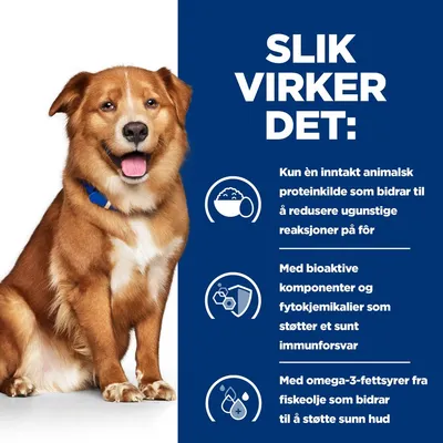 Hill's Prescription Diet Canine Derm komplett hundefôr