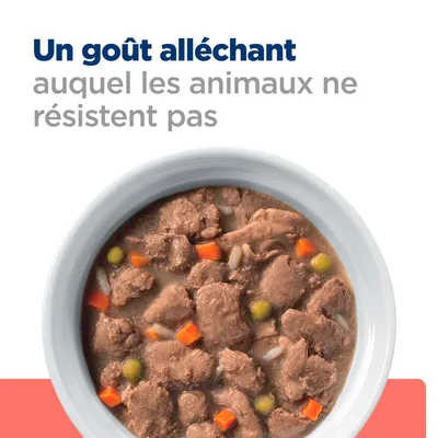 Un goût alléchant auquel les animaux ne résistent pas. Bol de nourriture humide avec morceaux de viande, carottes et petits pois visibles.