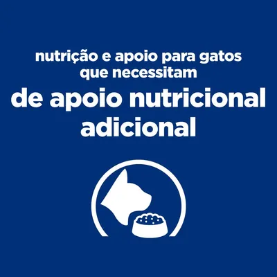 nutrição e apoio para gatos que necessitam de apoio nutricional adicional