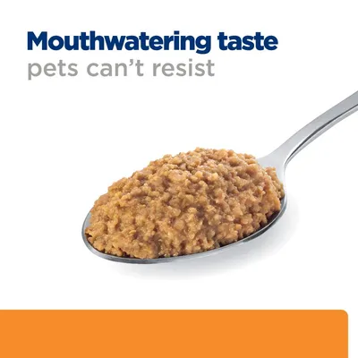 Spoonful of pet food with the text: Mouthwatering taste pets can’t resist.