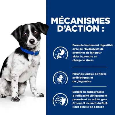MÉCANISMES D’ACTION : Formule hautement digestible avec hydrolysat de protéines de lait, mélange de fibres prébiotiques et gingembre, enrichi en antioxydants et Oméga-3 DHA huile de poisson.