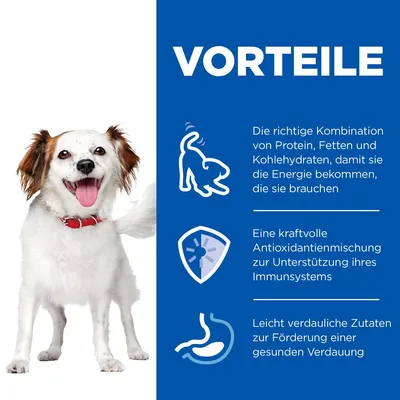 VORTEILE: Kombination aus Protein, Fetten und Kohlenhydraten für Energie, Antioxidantien zur Unterstützung des Immunsystems, leicht verdauliche Zutaten für gesunde Verdauung.
