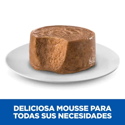 Mousse de comida húmeda para mascotas en un plato blanco. Texto visible: 'Deliciosa mousse para todas sus necesidades'.