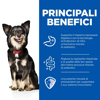 PRINCIPALI BENEFICI: supporta il benessere digestivo con tecnologia ActivBiome+ di Hill’s, migliora la regolarità intestinale e contiene una miscela di antiossidanti per il sistema immunitario.