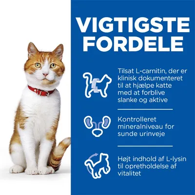 VIGTIGSTE FORDELE: Til­sat L-carnitin for slanke og aktive katte, kontrolleret mineralniveau for sunde urinveje, højt indhold af L-lysin til opretholdelse af vitalitet.