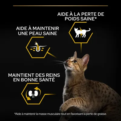 Aide à la perte de poids saine, aide à maintenir une peau saine, maintient des reins en bonne santé. Note : aide à maintenir la masse musculaire tout en favorisant la perte de graisse.