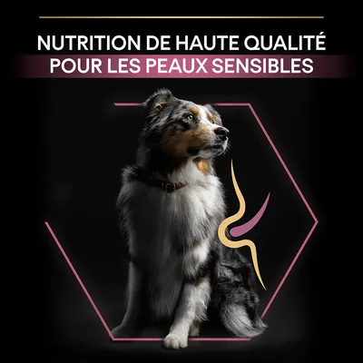 NUTRITION DE HAUTE QUALITÉ POUR LES PEAUX SENSIBLES