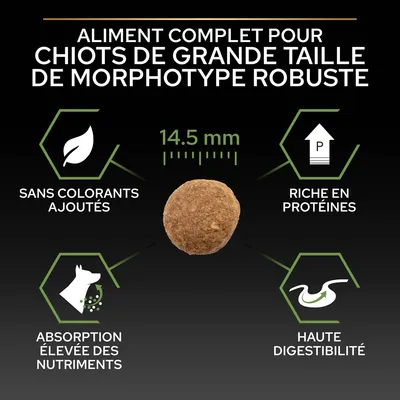 Aliment complet pour chiots de grande taille morphotype robuste, croquette 14,5 mm, sans colorants ajoutés, riche en protéines, absorption élevée des nutriments, haute digestibilité.