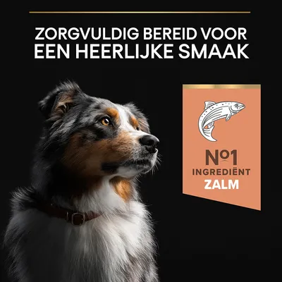 Zorgvuldig bereid voor een heerlijke smaak. Nº1 ingrediënt zalm.