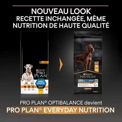 Nouveau look pour PURINA PRO PLAN Large Athletic Adult : OPTIBALANCE devient EVERYDAY NUTRITION, recette inchangée, nutrition de haute qualité. Sacs de croquettes visibles.
