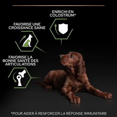 Enrichi en colostrum, favorise une croissance saine, favorise la bonne santé des articulations. Pour aider à renforcer la réponse immunitaire.