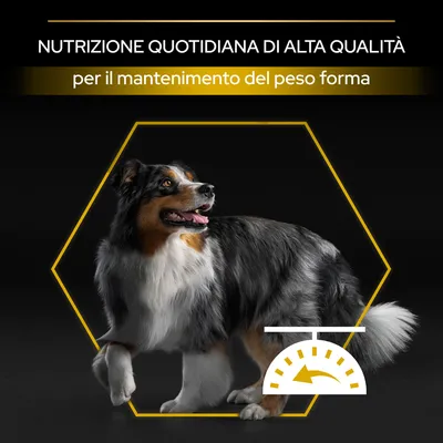 NUTRIZIONE QUOTIDIANA DI ALTA QUALITÀ per il mantenimento del peso forma, cane adulto e icona di bilancia visibili nell'immagine.