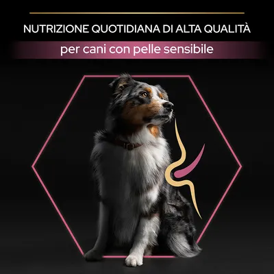 Testo: 'Nutrizione quotidiana di alta qualità per cani con pelle sensibile'. Cane seduto all'interno di un esagono rosa, grafica stilizzata accanto al corpo del cane.