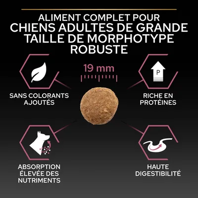 Aliment complet pour chiens adultes de grande taille morphotype robuste, croquette 19 mm, sans colorants ajoutés, riche en protéines, absorption élevée des nutriments, haute digestibilité.