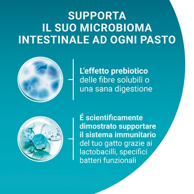Supporta il suo microbioma intestinale ad ogni pasto. L’effetto prebiotico delle fibre solubili o una sana digestione. È scientificamente dimostrato supportare il sistema immunitario del tuo gatto grazie ai lactobacilli, specifici batteri funzionali.