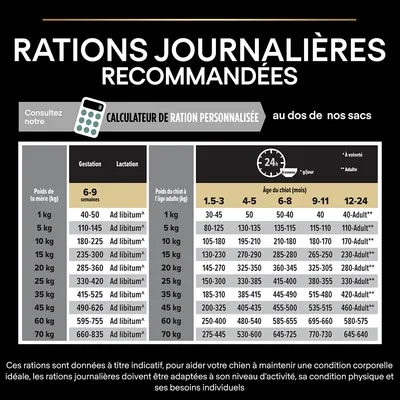 Tableau des rations journalières recommandées pour chiens selon poids et âge, gestation, lactation et croissance. Inclut mention du calculateur de ration personnalisée et notes explicatives.