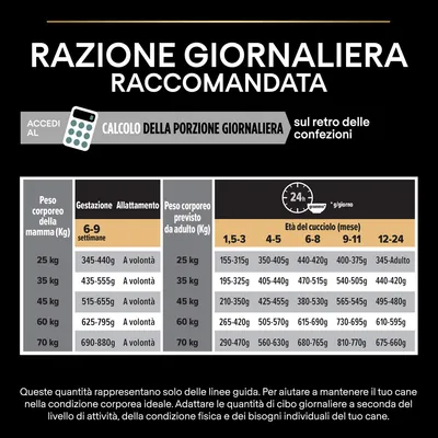 Tabella razione giornaliera raccomandata per cani: quantità in grammi secondo peso corporeo della mamma e del cucciolo, età in mesi e fase gestazione/allattamento. Include calcolo porzione.