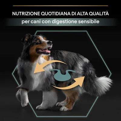 NUTRIZIONE QUOTIDIANA DI ALTA QUALITÀ per cani con digestione sensibile, testo su immagine di cane con simbolo stomaco e frecce sul corpo.