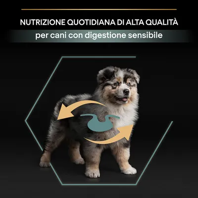 Testo: NUTRIZIONE QUOTIDIANA DI ALTA QUALITÀ per cani con digestione sensibile. Immagine di cane con simbolo stomaco e frecce sul corpo.