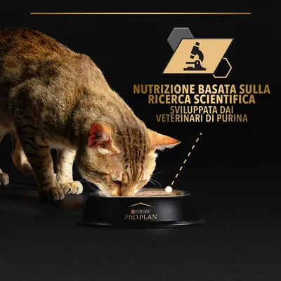 Gatto che mangia da una ciotola nera con scritta Purina Pro Plan. Testo: Nutrizione basata sulla ricerca scientifica, sviluppata dai veterinari di Purina.