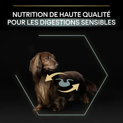 NUTRITION DE HAUTE QUALITÉ POUR LES DIGESTIONS SENSIBLES, texte en haut de l’image avec un chien marron et un pictogramme d’estomac entouré de deux flèches jaunes.