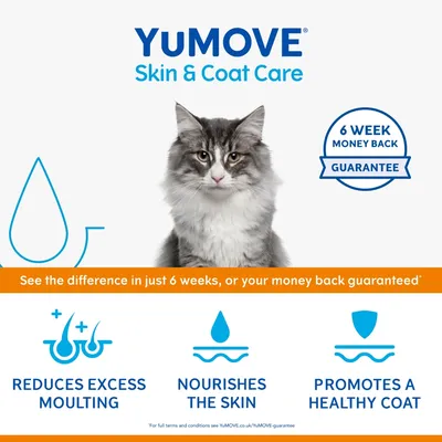 YuMOVE Skin & Coat Care for cats. 6 week money back guarantee. See the difference in 6 weeks or your money back. Reduces excess moulting, nourishes the skin, promotes a healthy coat.