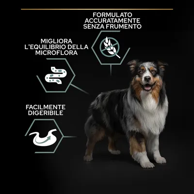 Testi visibili: Formulato accuratamente senza frumento, migliora l'equilibrio della microflora, facilmente digeribile. Immagine di un cane a fianco dei testi.