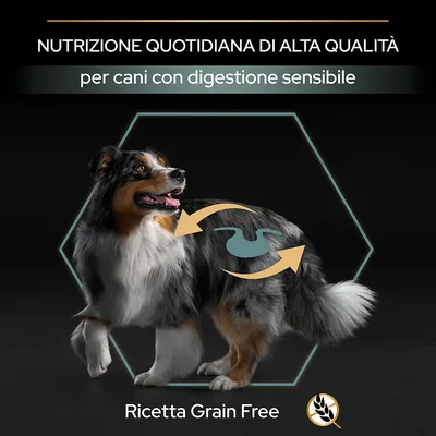 Testo: Nutrizione quotidiana di alta qualità per cani con digestione sensibile. Ricetta Grain Free. Simbolo stomaco e frecce su cane, icona spiga barrata.