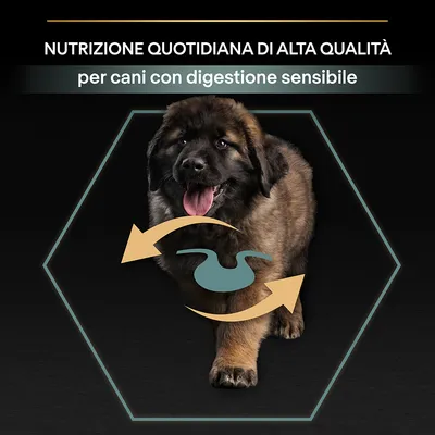 NUTRIZIONE QUOTIDIANA DI ALTA QUALITÀ per cani con digestione sensibile, cucciolo e simbolo stomaco con frecce gialle su sfondo nero.