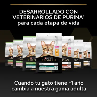 Varios sacos de pienso Purina Pro Plan para gatos adultos, texto: 'Desarrollado con veterinarios de Purina para cada etapa de vida. Cuando tu gato tiene +1 año cambia a nuestra gama adulta'.