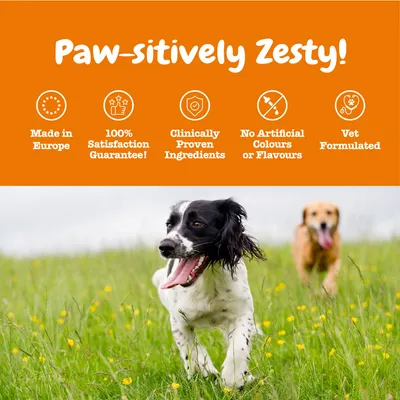 Text: Paw-sitively Zesty! Made in Europe, 100% Satisfaction Guarantee!, Clinically Proven Ingredients, No Artificial Colours or Flavours, Vet Formulated. Text v angličtině.