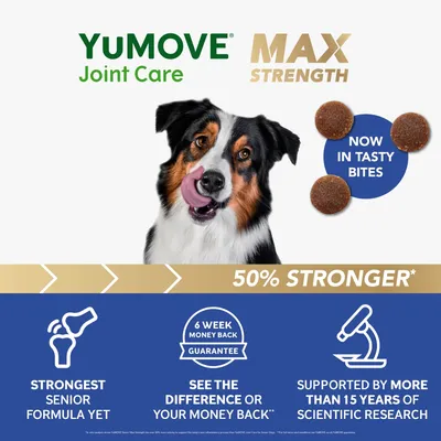 YuMOVE Joint Care Max Strength, now in tasty bites. 50% stronger. Strongest senior formula yet. 6 week money back guarantee. Supported by over 15 years of scientific research.
