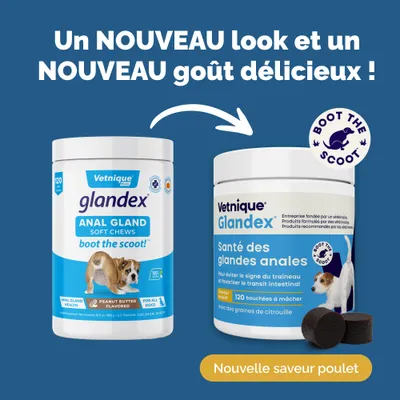 Glandex Friandises à mâcher pour les glandes anales Glandex Friandises à mâcher pour les glandes anales