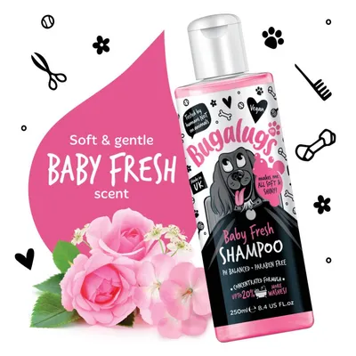 Bugalugs Baby Fresh Shampoo, soft and gentle baby fresh scent, pH balanced, paraben free, concentrated formula for up to 20% more washes, tested by humans, vegan, 250ml bottle.