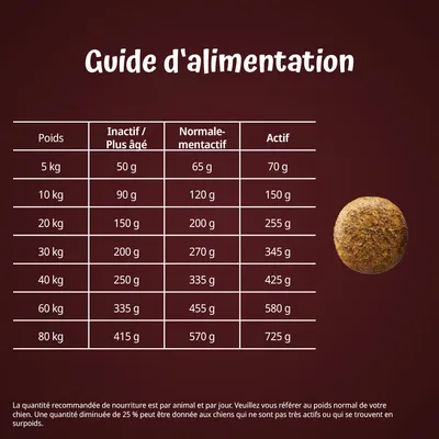 Guide d’alimentation pour chiens selon poids : 5–80 kg, quantités de 50 à 725 g/jour pour inactif, normalement actif ou actif. Tableau détaillé visible sur l’image.