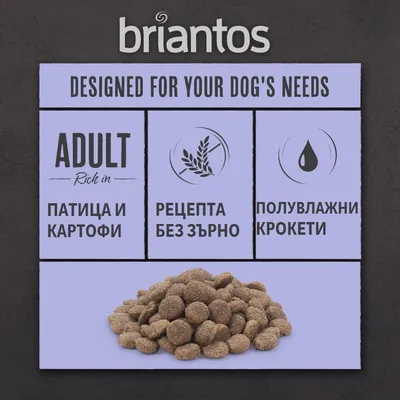 briantos. ADULT патешко и картофи, рецепта без зърно, полувлажни крокети. Изображение на купчина кафяви крокети за кучета.